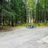 Review photo of Black Spruce Campground by Shadara W., August 28, 2019