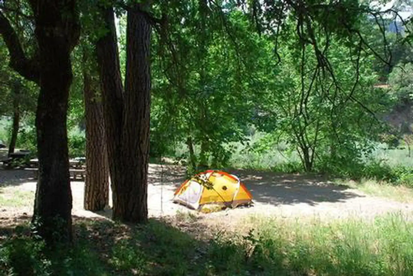 Camper-submitted photo at Curly Jack Campground near Seiad Valley, CA