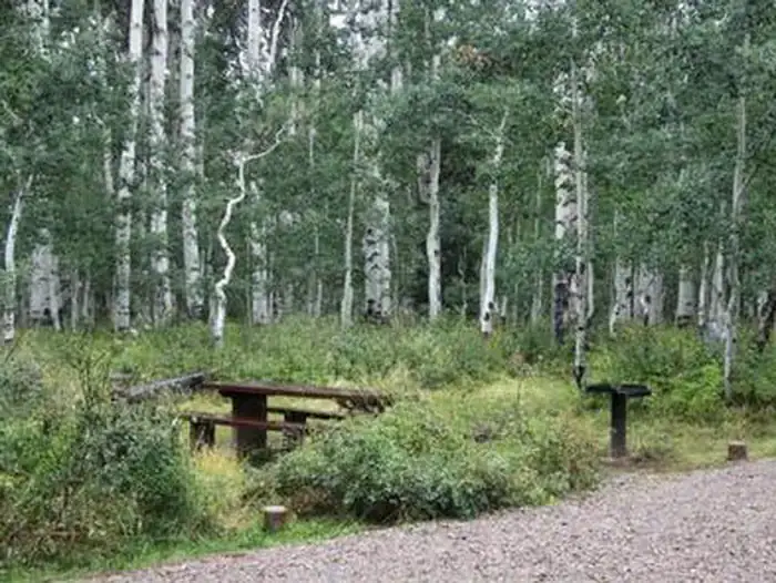 Camper-submitted photo at Warner Lake near Monticello, UT