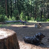 Review photo of Candle Creek Campground by Lindsay M., August 28, 2019