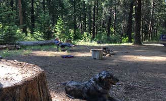 Lindsay M.'s photo of camping with pets at Candle Creek Campground near Madras, OR