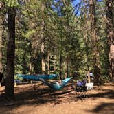 Review photo of Candle Creek Campground by Lindsay M., August 28, 2019