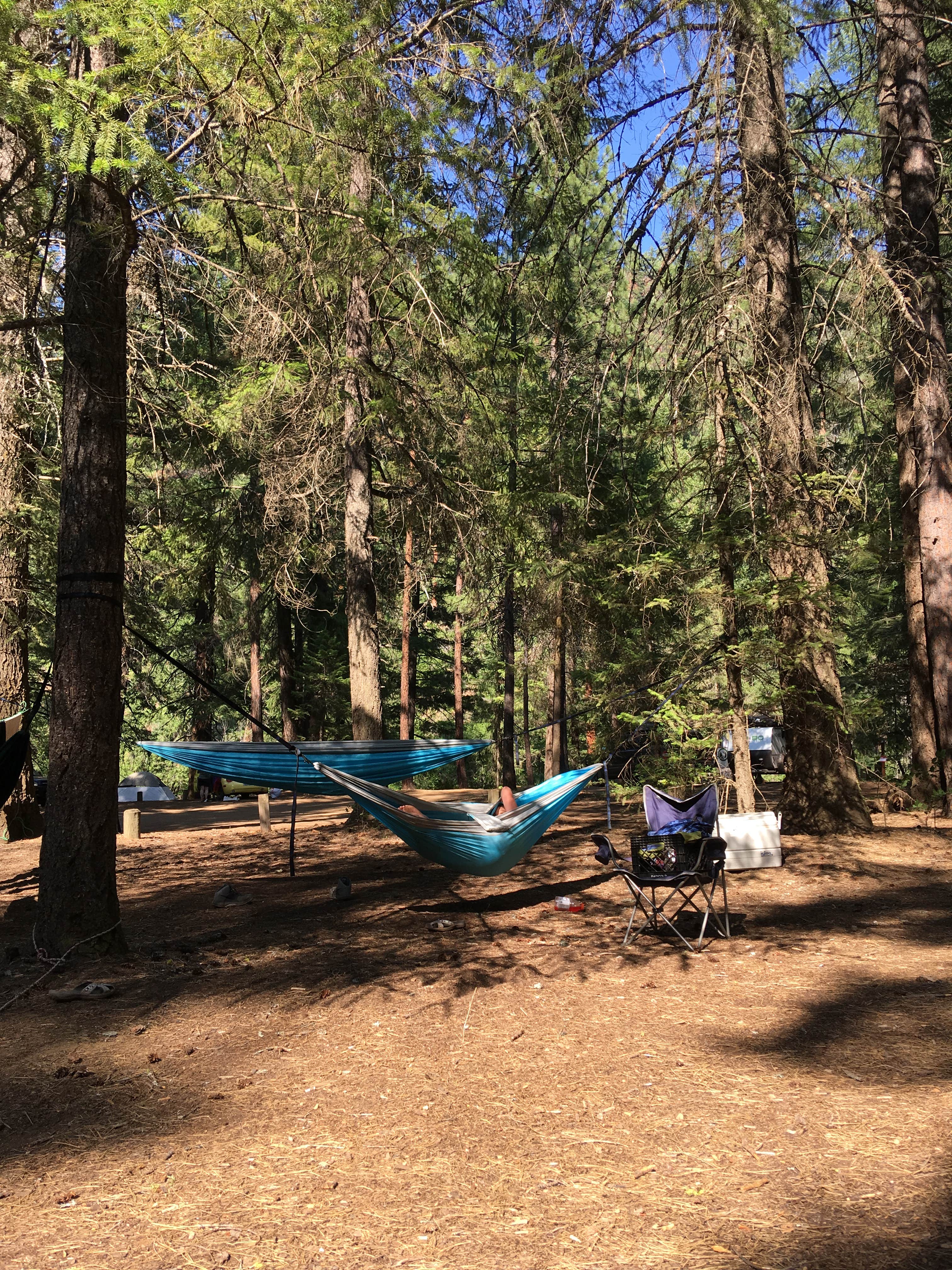 Camper submitted image from Candle Creek Campground - 3