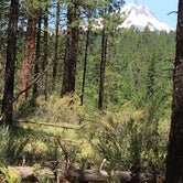 Review photo of Candle Creek Campground by Lindsay M., August 28, 2019