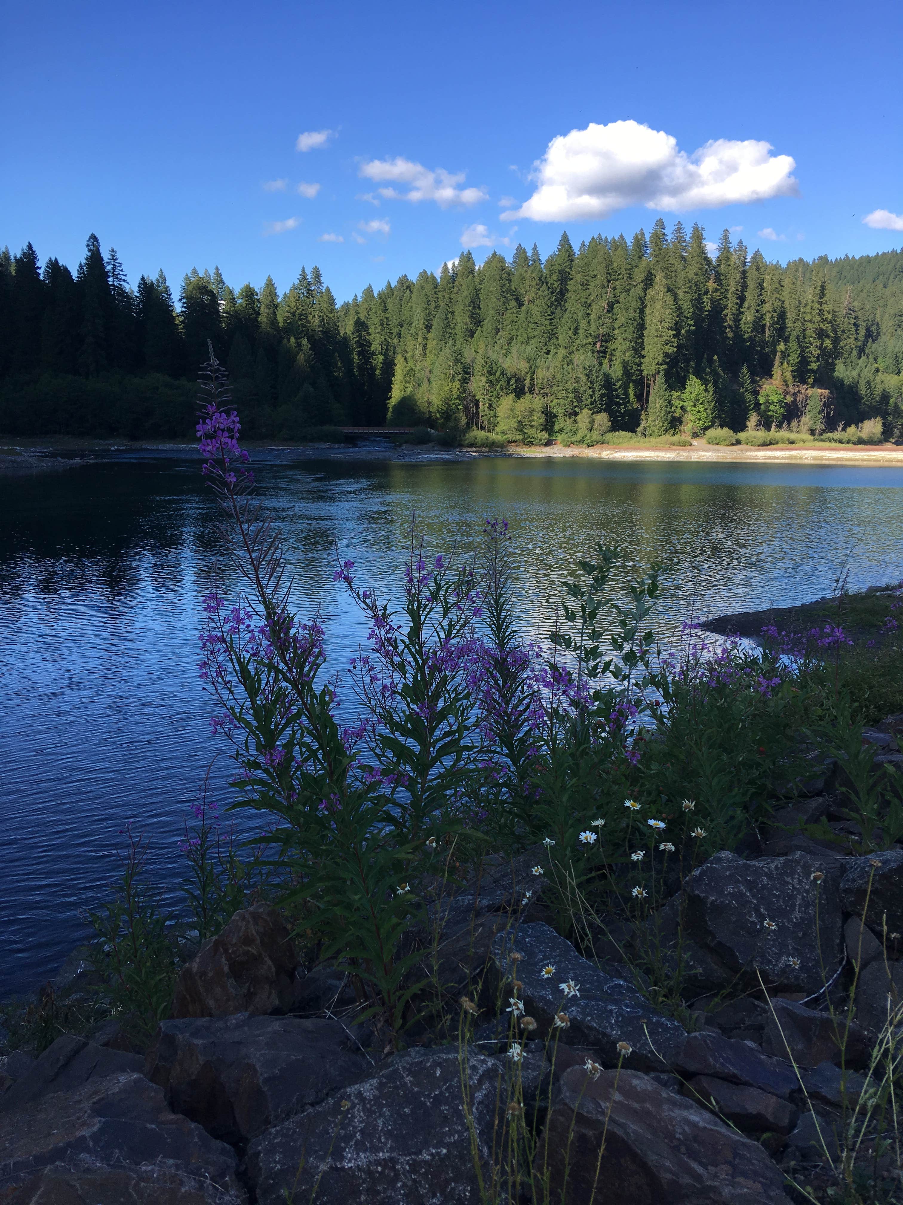 Camper submitted image from Ice Cap Campground - 2