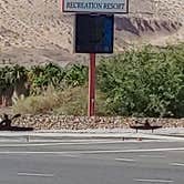 Review photo of Davis Camp Park - Mohave County by Chris B., August 28, 2019