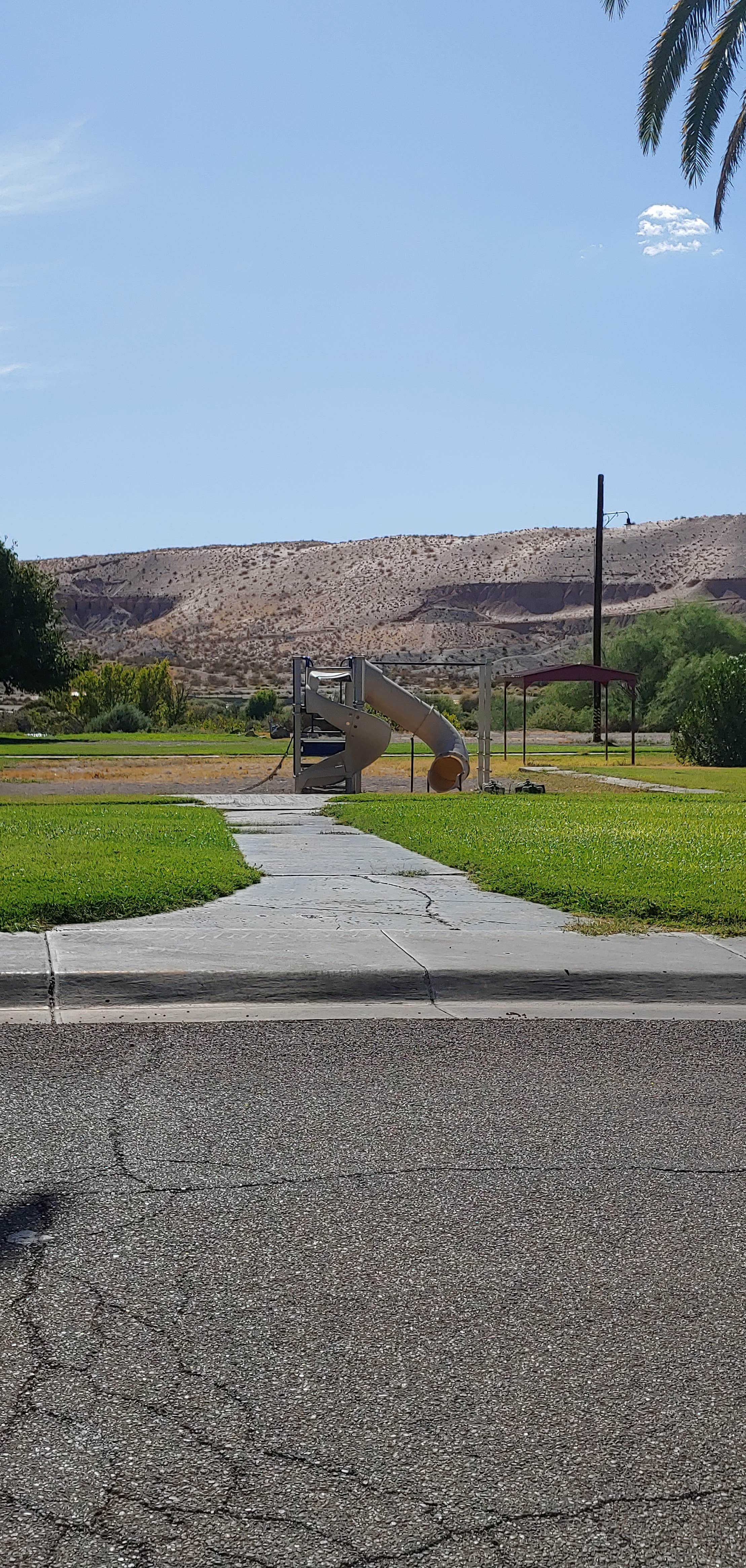 Camper submitted image from Davis Camp Park - Mohave County - 4