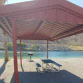 Review photo of Davis Camp Park - Mohave County by Chris B., August 28, 2019