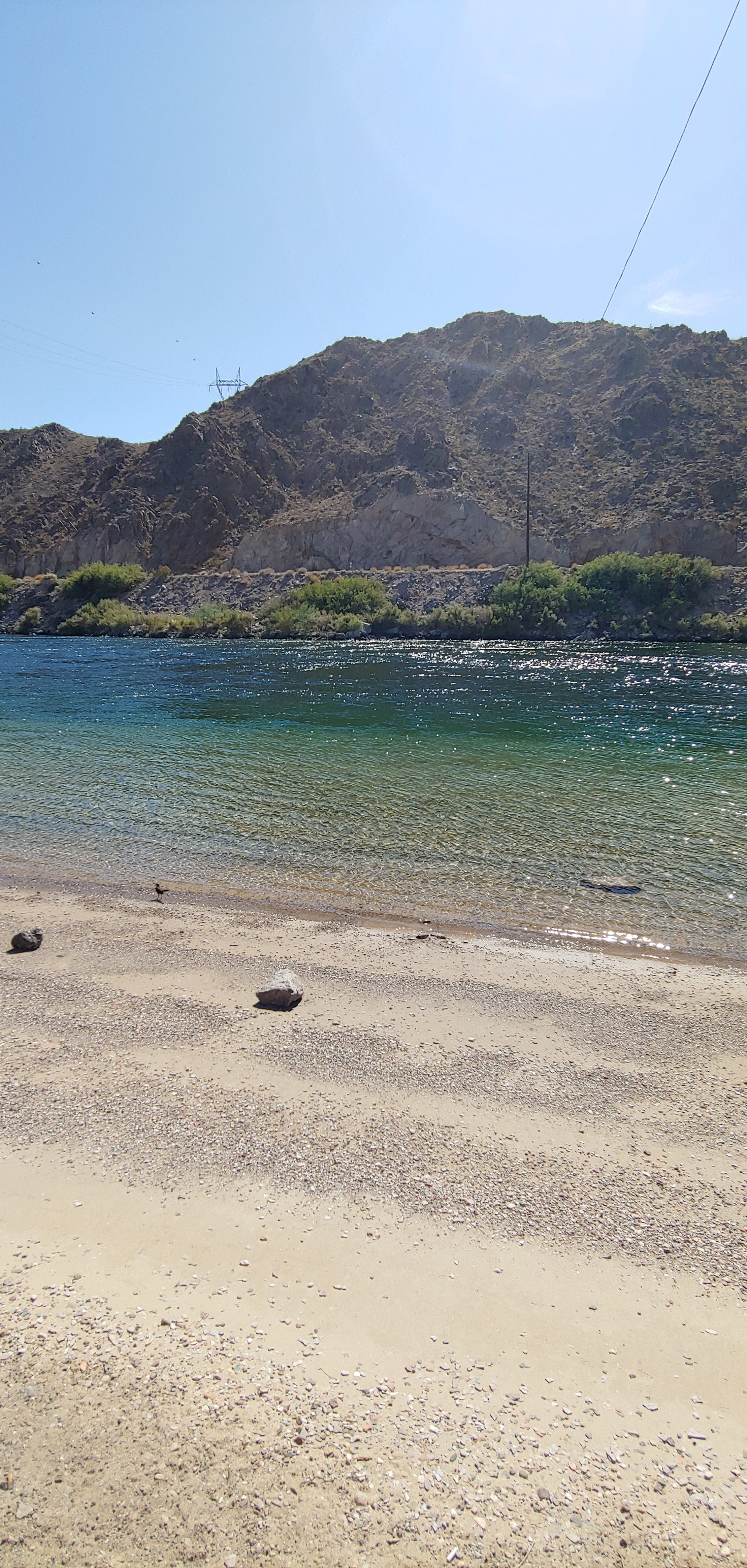 Camper submitted image from Davis Camp Park - Mohave County - 4
