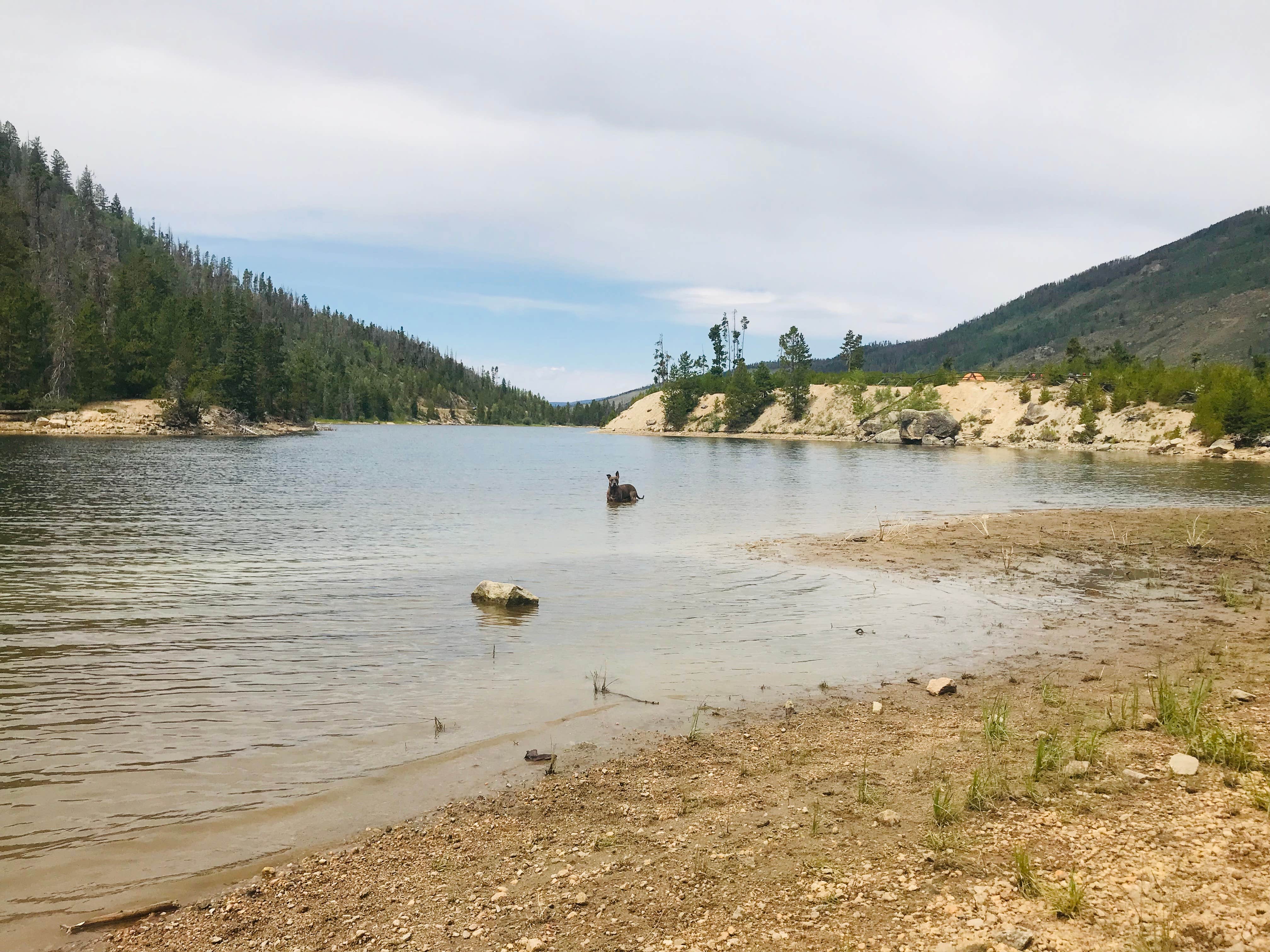 Camping near Sauk Mountain Woodland Waters: Grandy Lake Campground, Concrete, Washington