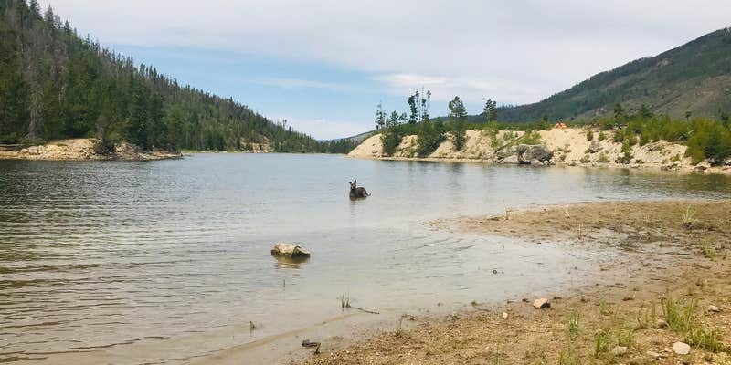 Camper submitted image from Grandy Lake Campground