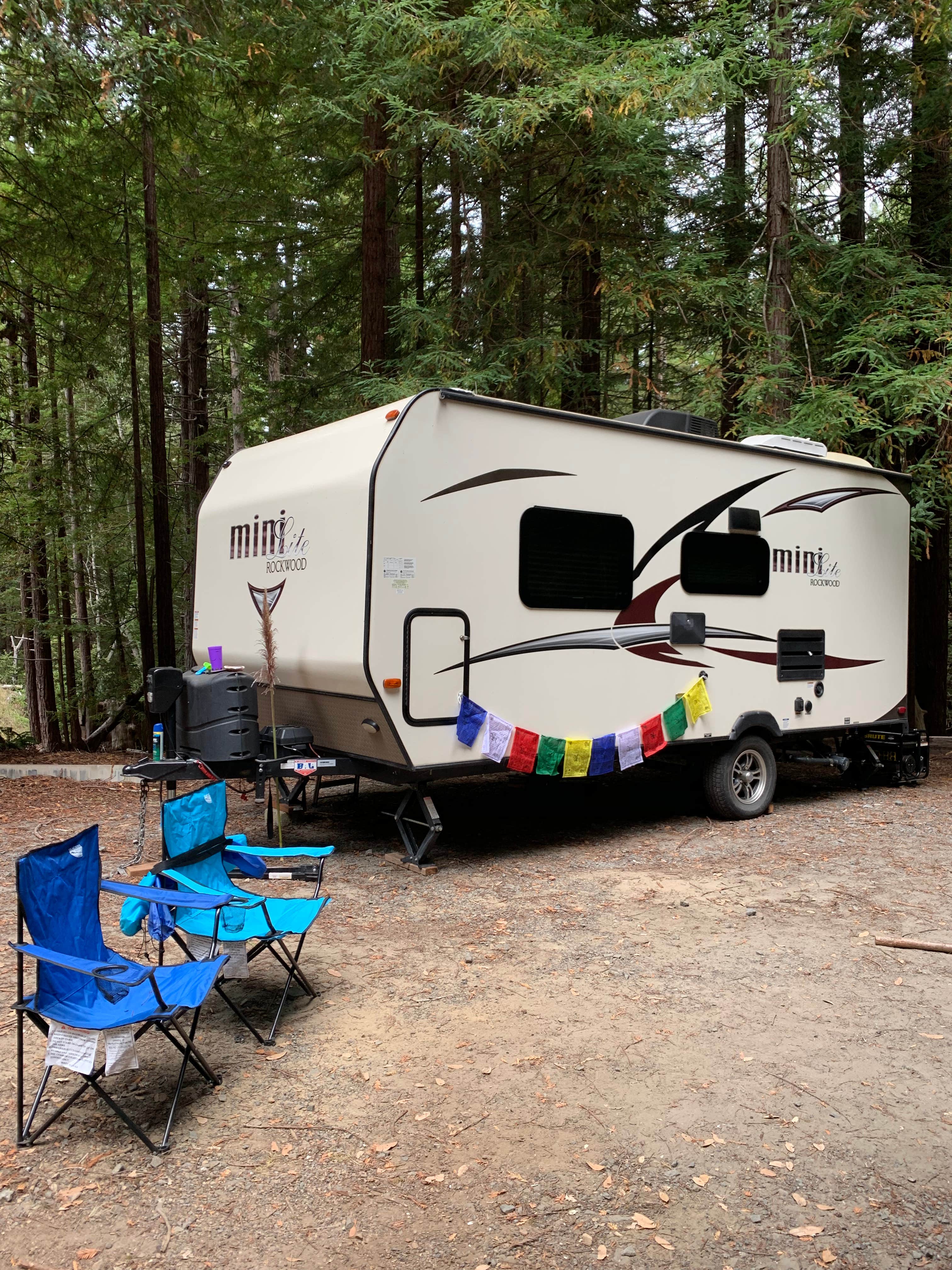 Camper submitted image from Gualala River Redwood Park - 3
