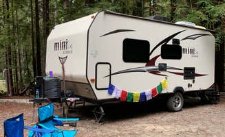 Natascha A.'s photo at Gualala River Redwood Park near Point Arena, CA