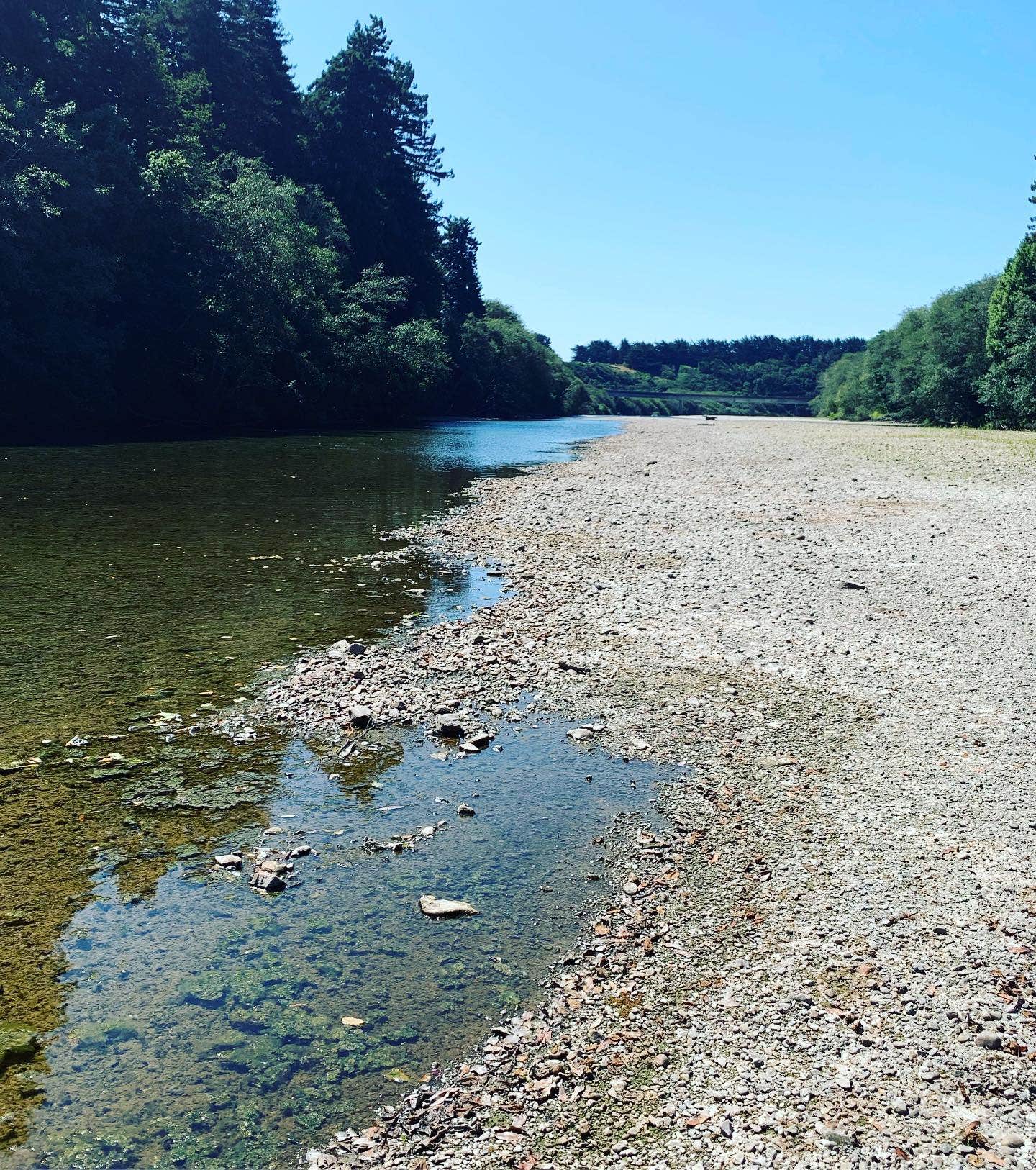 Camper submitted image from Gualala River Redwood Park - 4