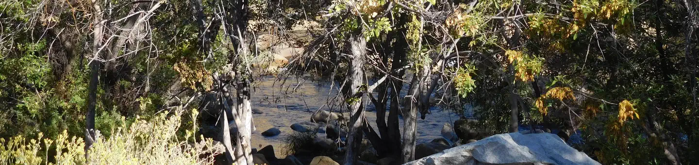 Camper-submitted photo at Hospital Flat near Onyx, CA