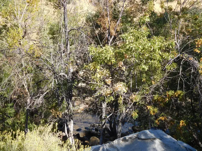 Camper-submitted photo at Hospital Flat near Onyx, CA