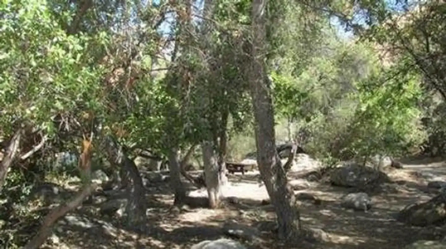 Camper-submitted photo at Hospital Flat near Onyx, CA