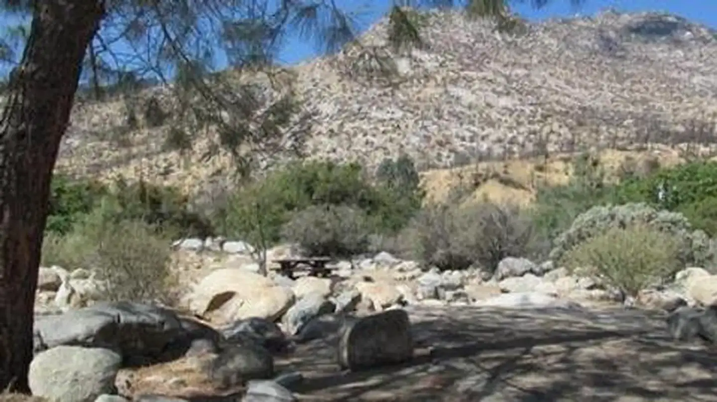 Camper-submitted photo at Hospital Flat near Onyx, CA