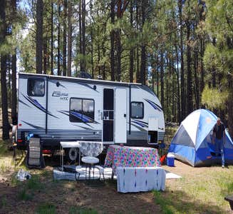 Camper-submitted photo from Peace of Mind Campgrounds: SHOW LOW, AZ
