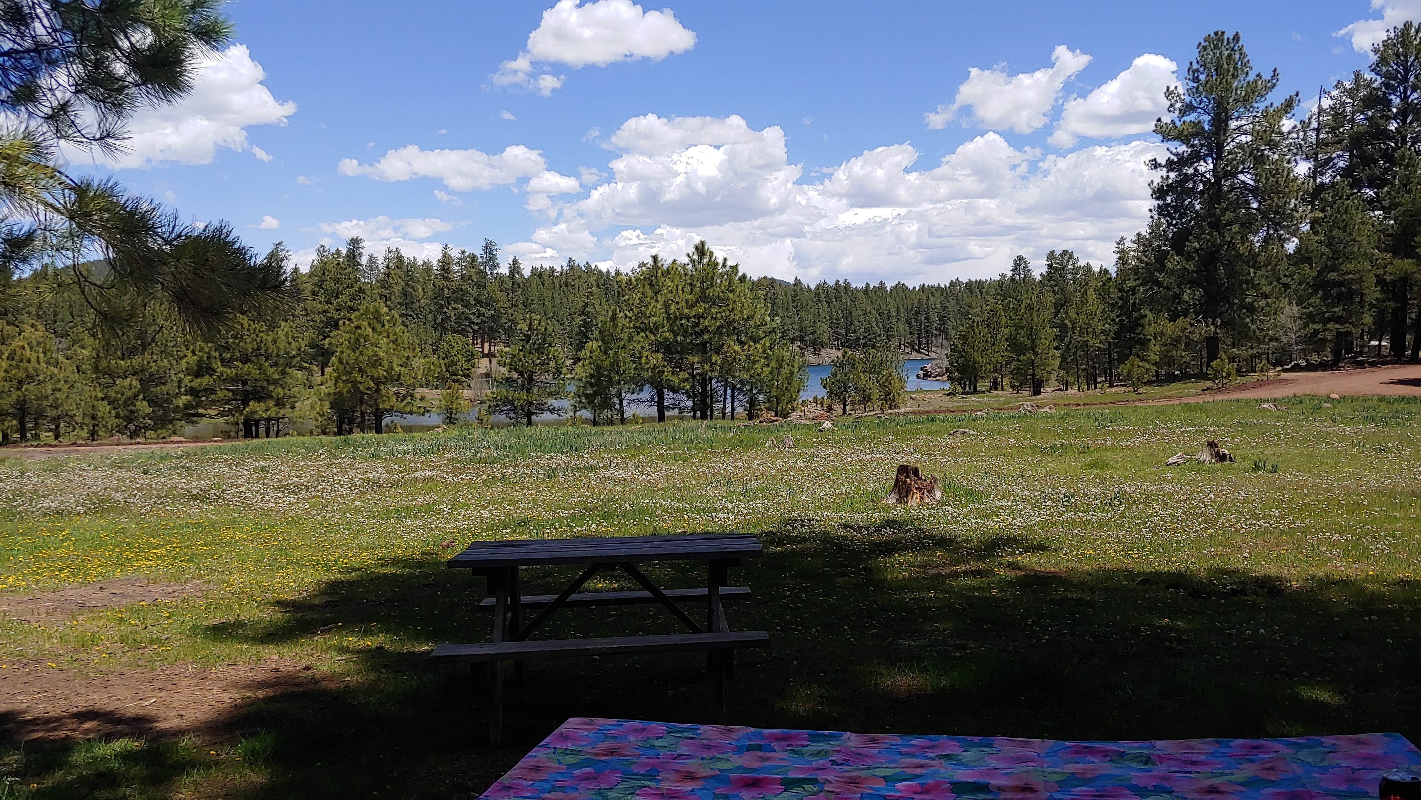 Camper-submitted photo at Shush Bezahze near McNary, AZ