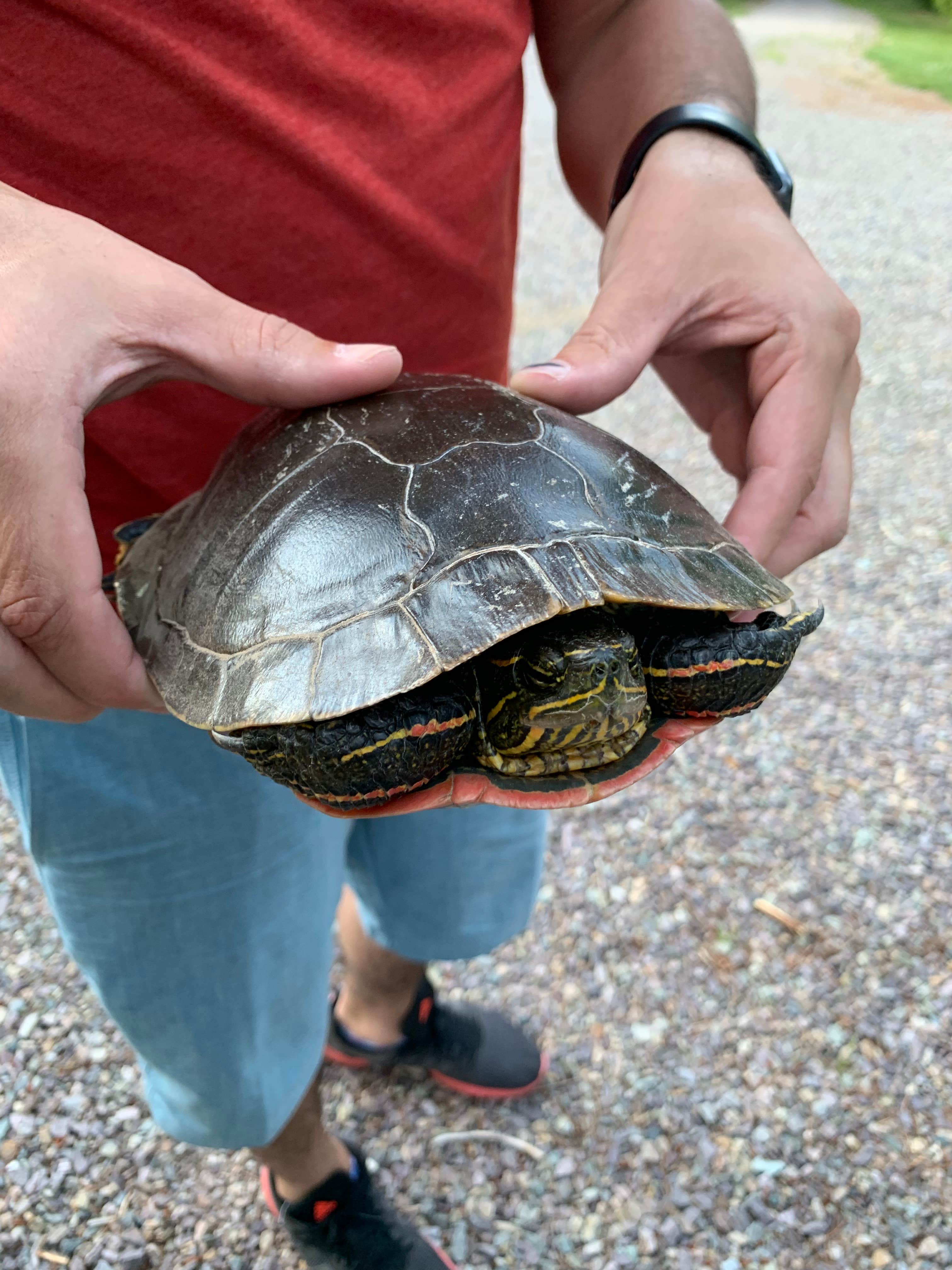 Camper-submitted photo at Bad Medicine Campground near Clark Fork, ID