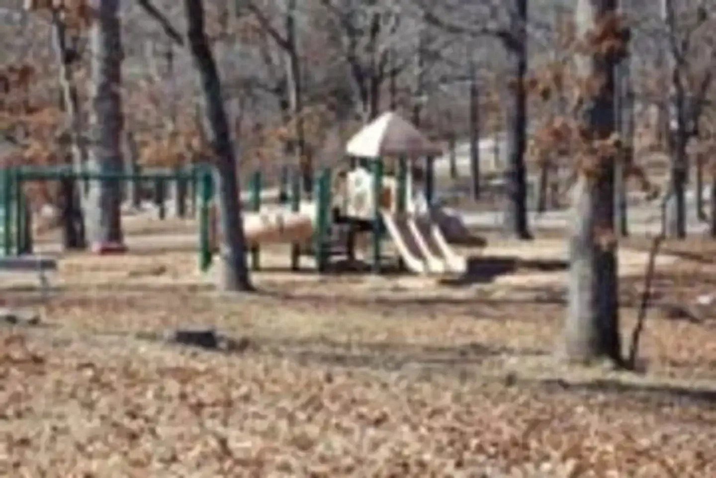 Camper-submitted photo at Cranfield Park near Vanzant, MO