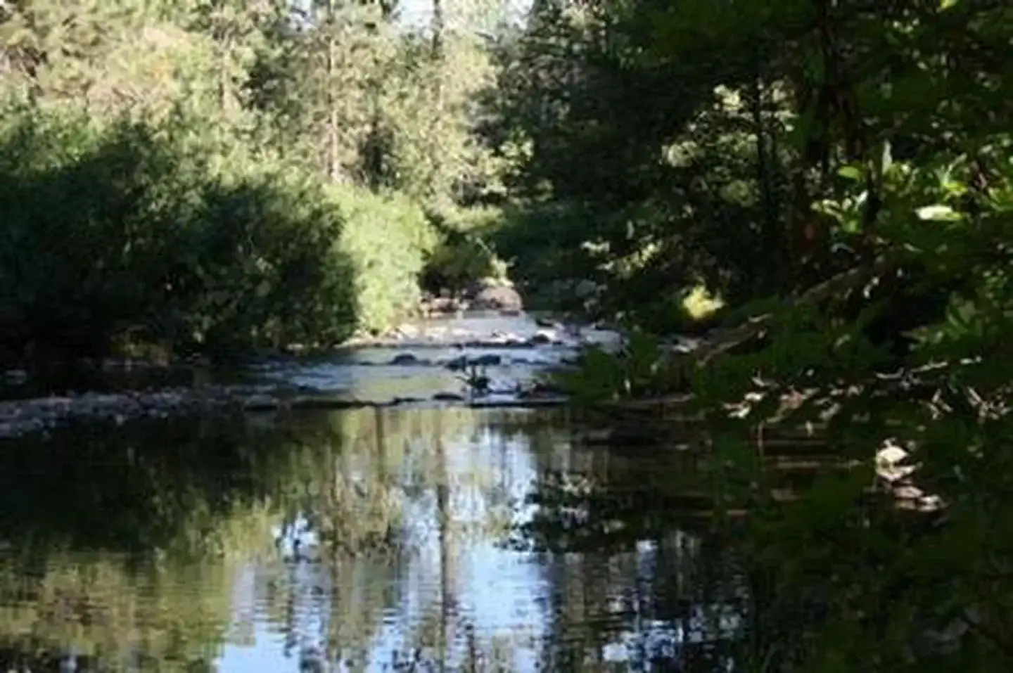 Camper-submitted photo at Summerdale Campground - Sierra National Forest near Wawona, CA
