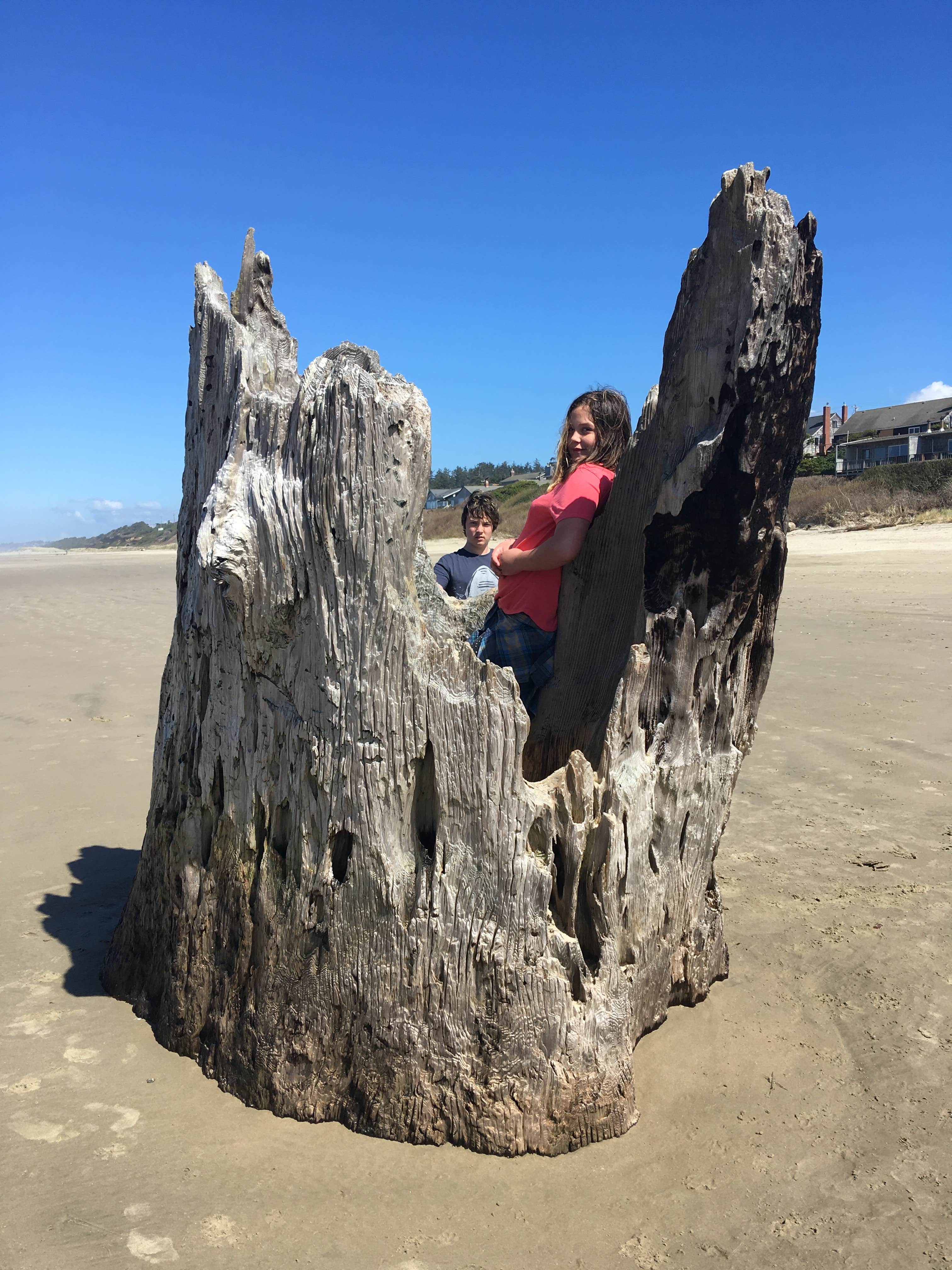 Camping near McKinley's Marina & RV Park: Beachside State Recreation Site, Waldport, Oregon
