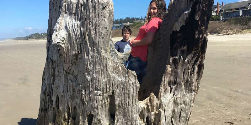 Camper submitted image from Beachside State Recreation Site