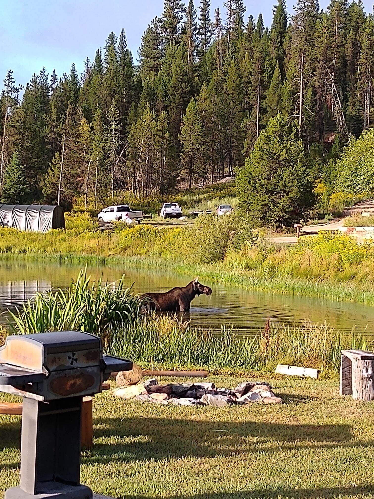 Camper submitted image from Lolo Hot Springs RV Park & Campground - 5