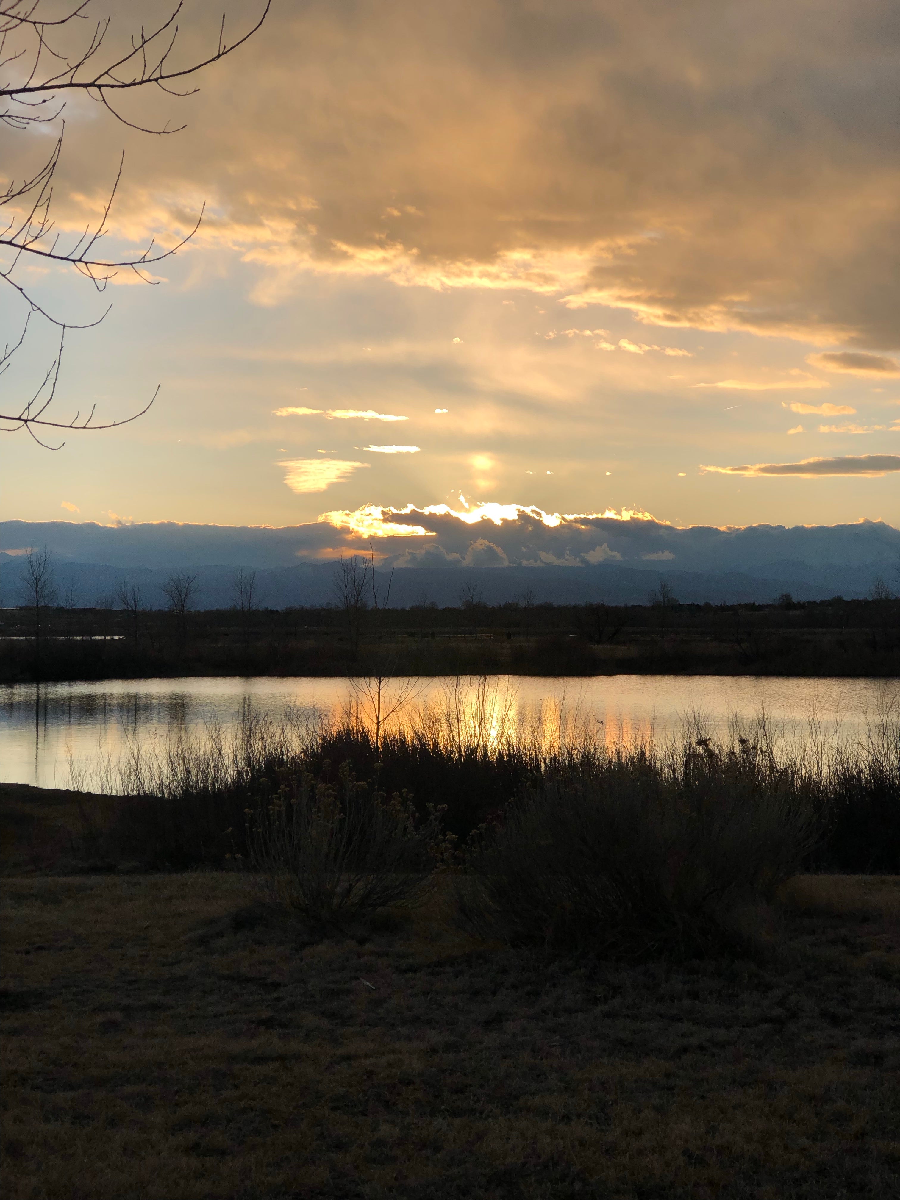 Camper submitted image from St. Vrain State Park Campground - 3