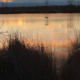Review photo of St. Vrain State Park Campground by Becky H., August 28, 2019