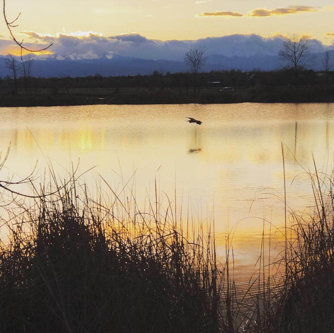 Camper-submitted photo at St. Vrain State Park Campground near Eastlake, CO