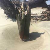 Review photo of Little Tybee Island Dispersed by Jennifer C., August 28, 2019