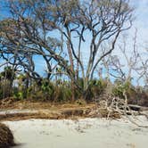 Review photo of Little Tybee Island Dispersed by Jennifer C., August 28, 2019