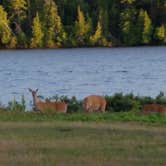 Review photo of Fort Wilkins Historic State Park — Fort Wilkins State Historic Park by Jennifer H., August 28, 2019