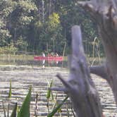 Review photo of Devoe Lake Rustic Campround — Rifle River Recreation Area by Dave V., September 28, 2016