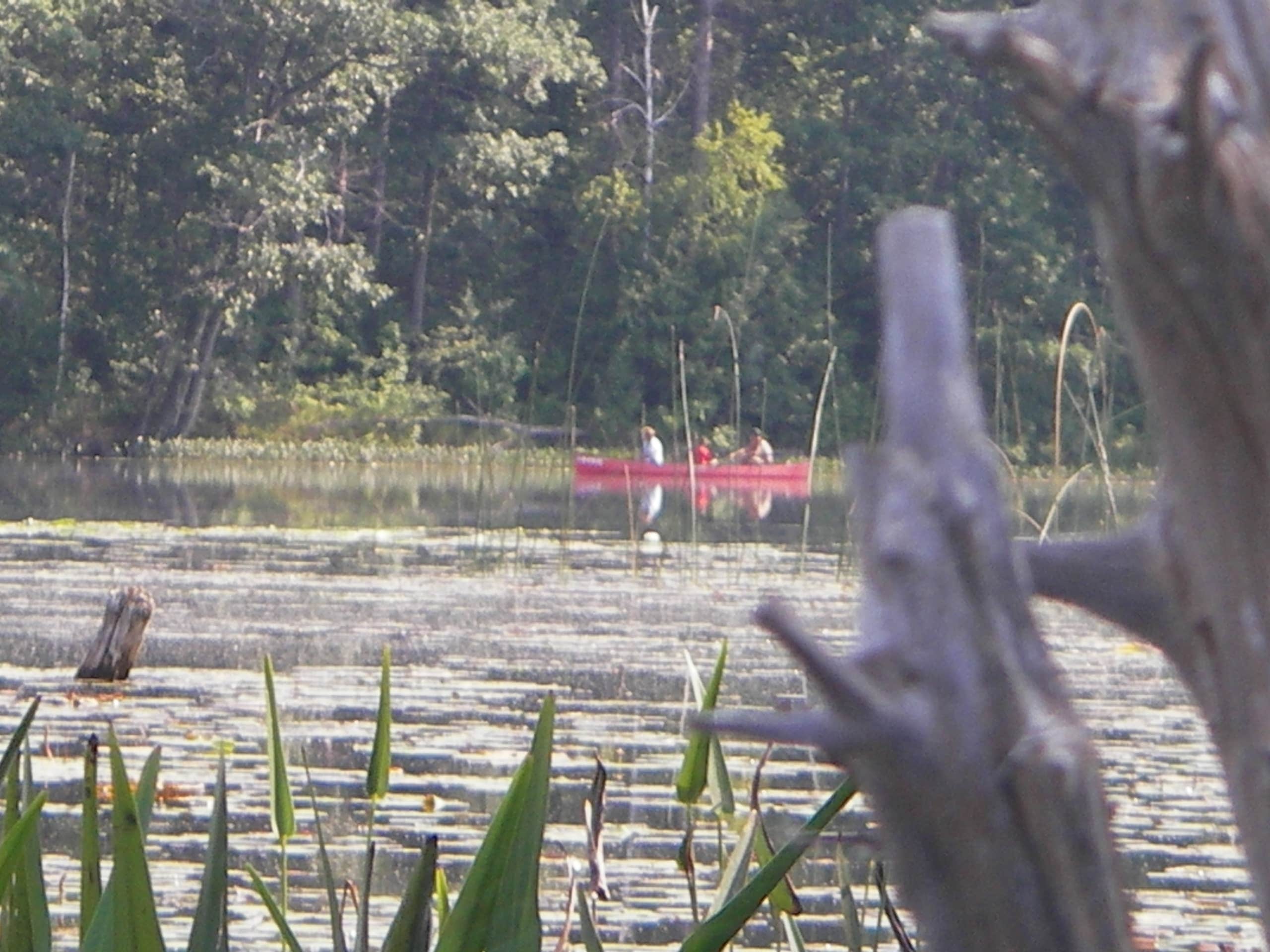 Camper submitted image from Devoe Lake Rustic Campround — Rifle River Recreation Area - 2