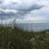 Review photo of Illinois Beach State Park by Pamela K., August 28, 2019