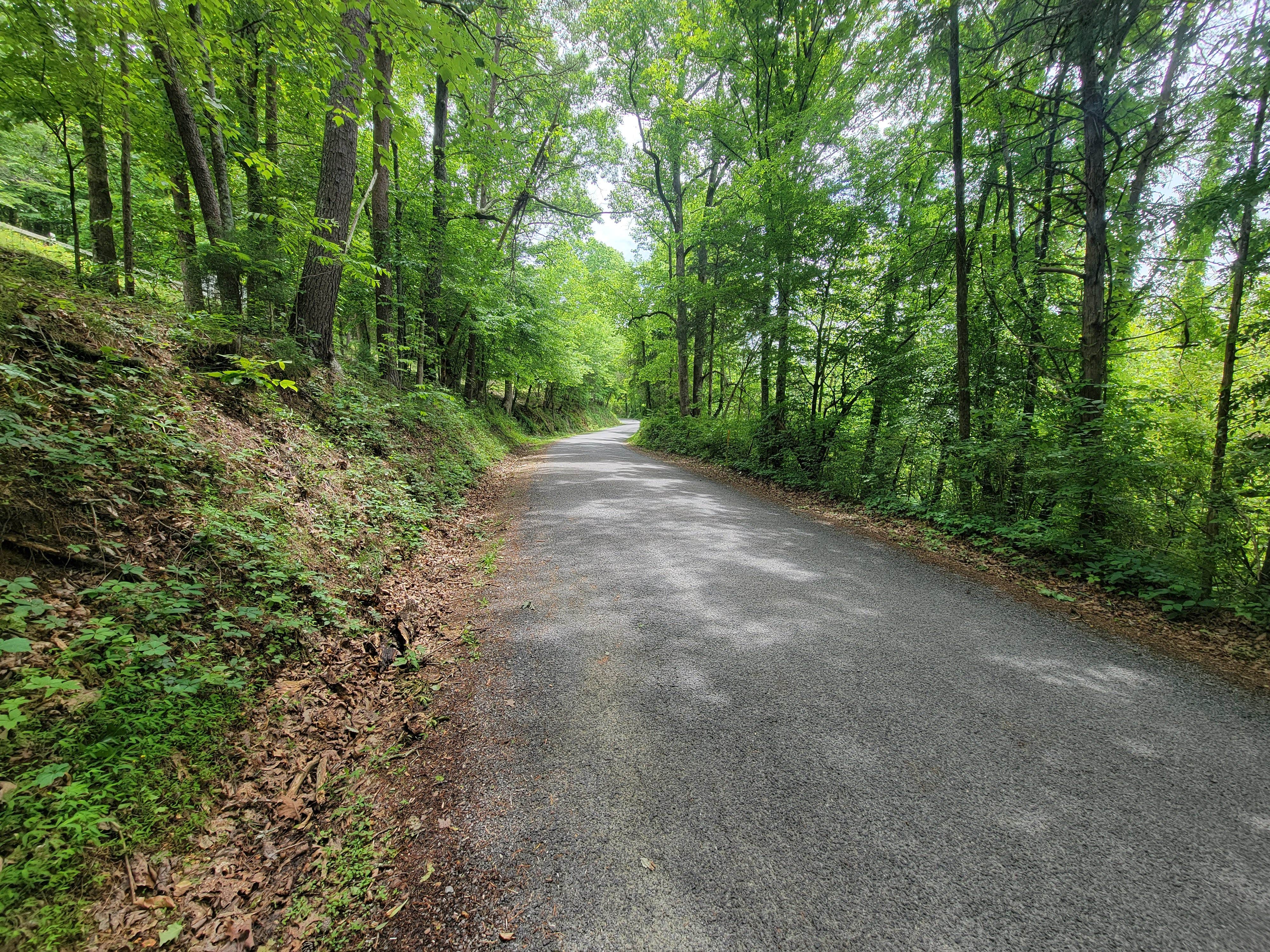 Camper-submitted photo at Gryptid RV Park near Etowah, TN
