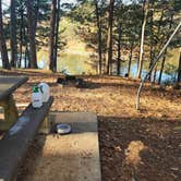 Review photo of Washita Primitive Camping Area by Fred S., November 19, 2025