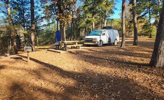 Fred S.'s photo at Washita Primitive Camping Area in Arkansas