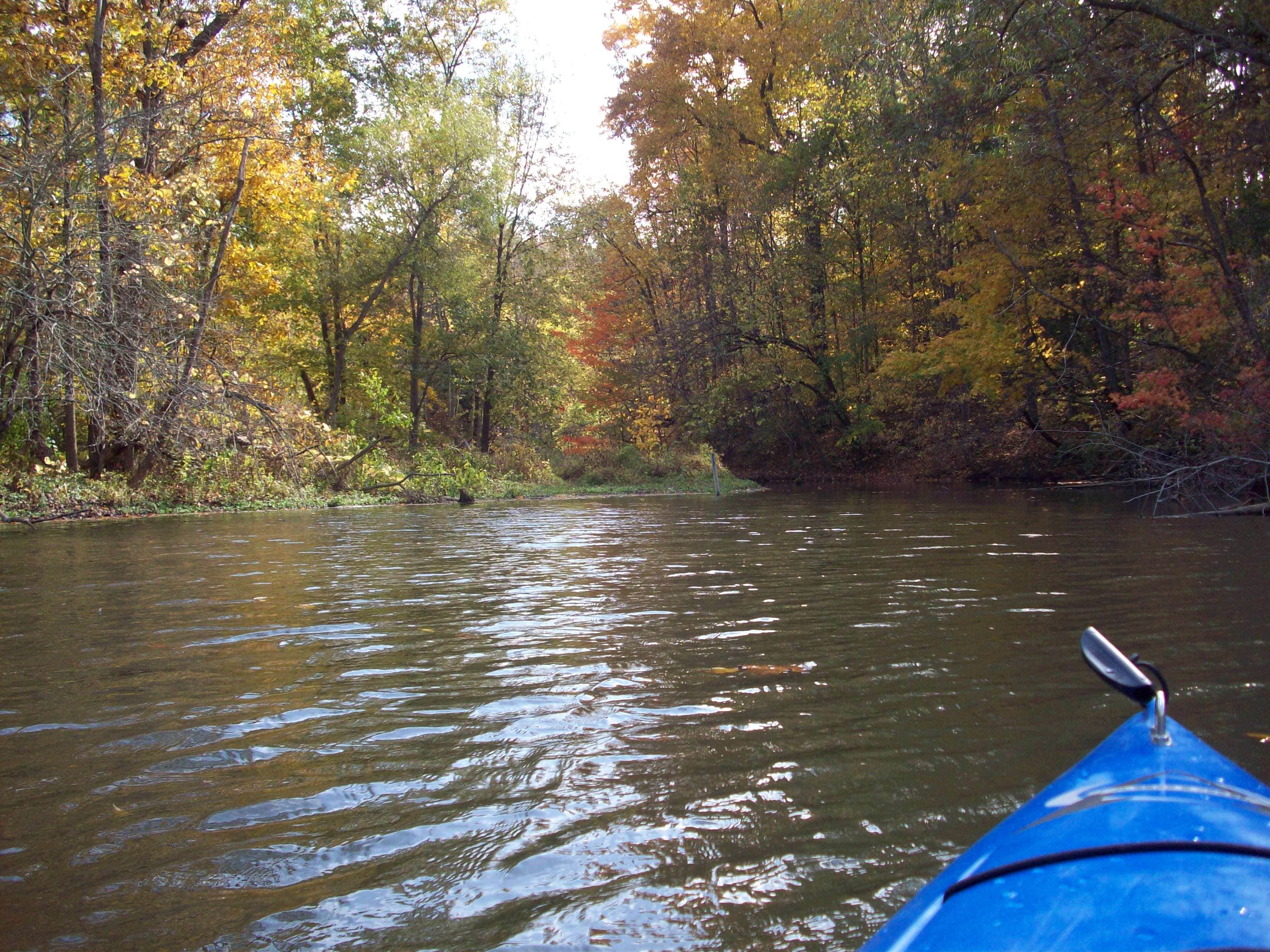 Camper submitted image from Findley State Park Campground - 5