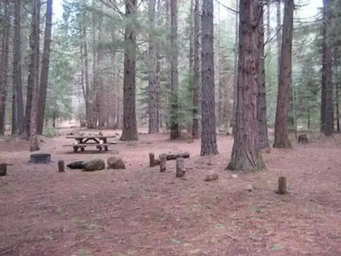 Camper-submitted photo at Fourbit Ford Campground near Butte Falls, OR