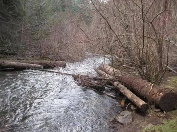 Camper-submitted photo at Fourbit Ford Campground near Butte Falls, OR