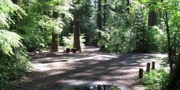 Camper submitted image from Rogue River National Forest Jim Creek Group Campground