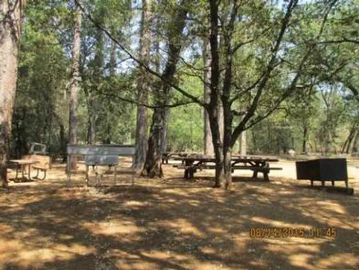 Camper submitted image from Dekkas Group Campground - 1