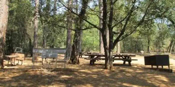 Camper submitted image from Dekkas Group Campground