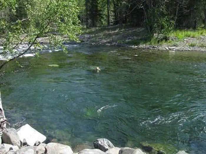 Camper submitted image from Caribou Creek Cabin - 1