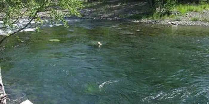 Camper submitted image from Caribou Creek Cabin